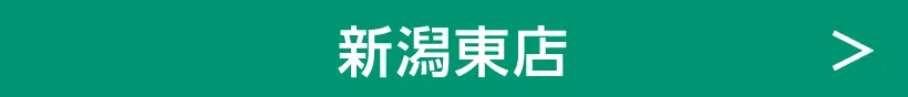 新潟東店