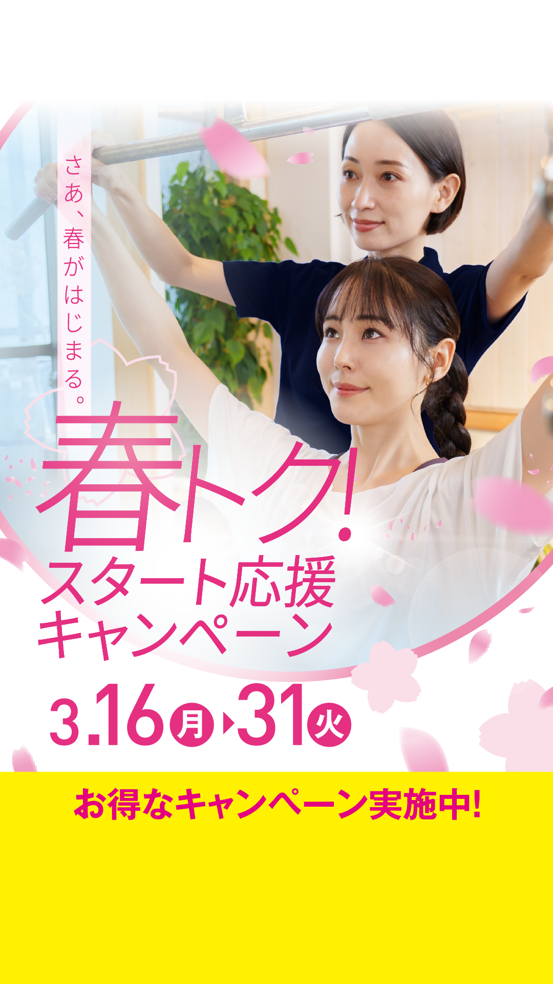 sec1_キャンペーンTOP