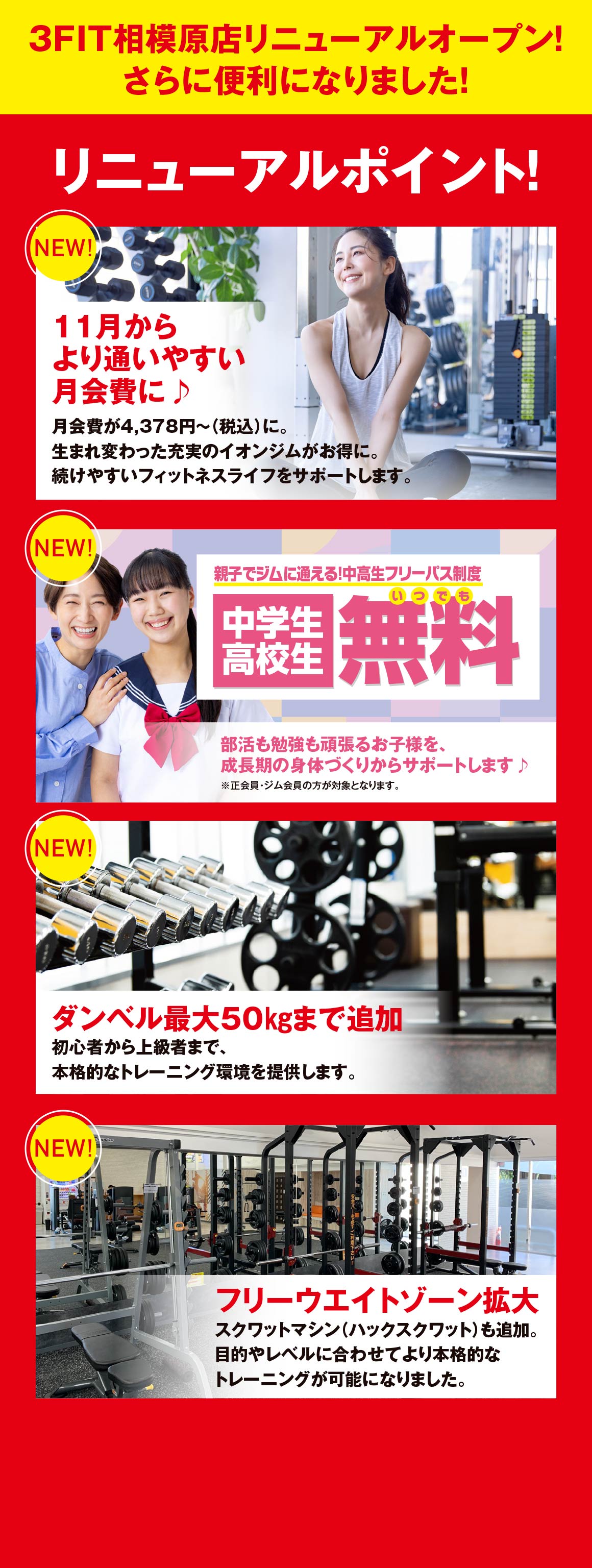 リニューアルポイント