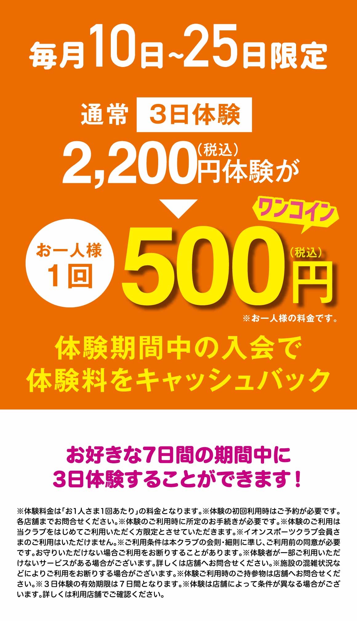 体験祭り概要