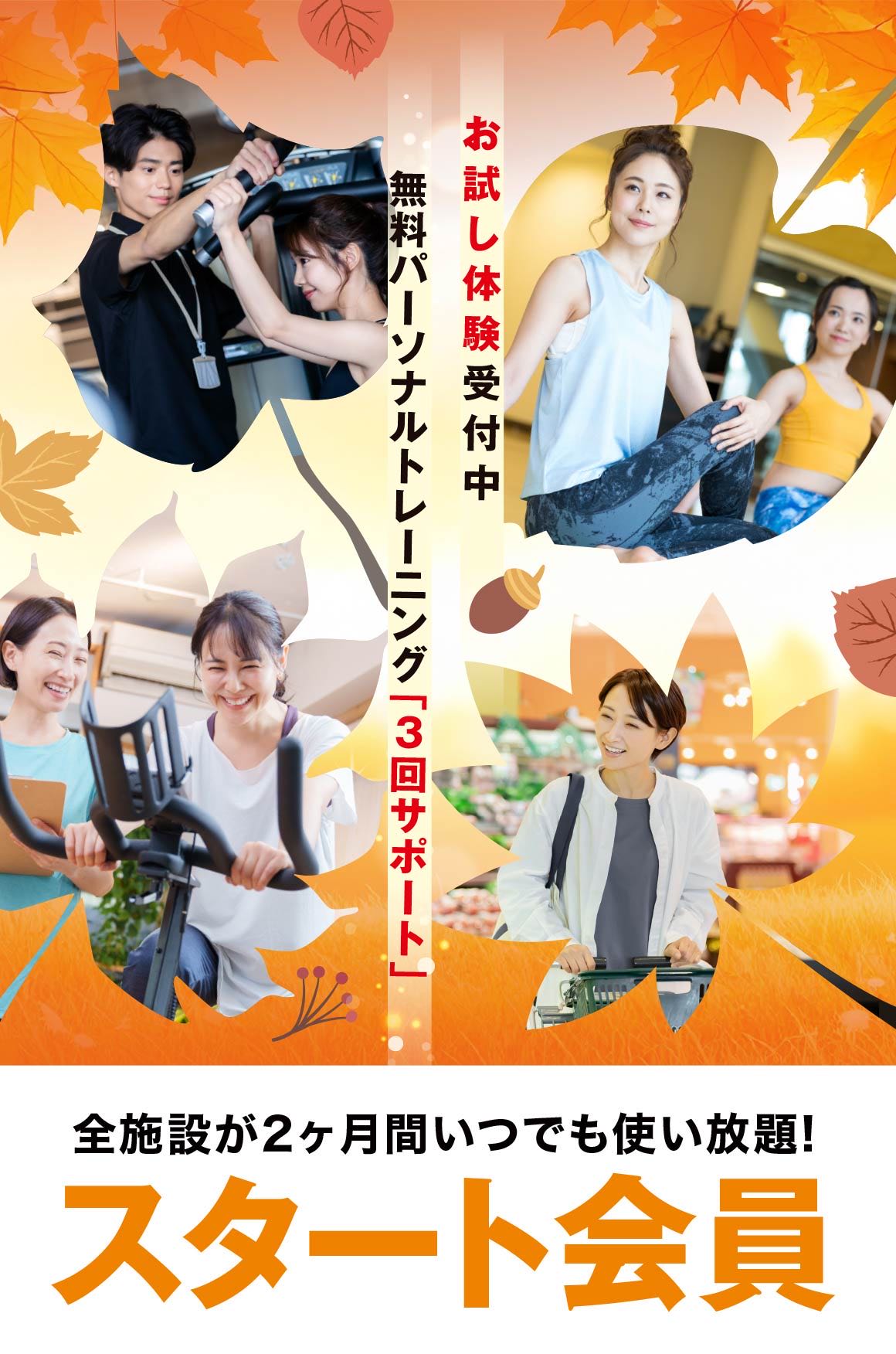 3回サポート