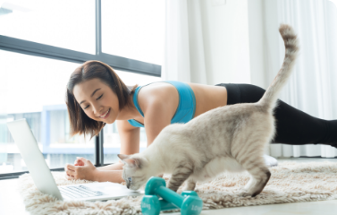 Online Studio イメージ写真