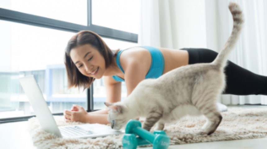 3FIT オンラインスタジオ